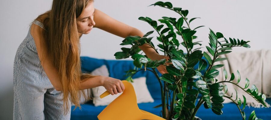 Il nido accogliente che è la nostra casa